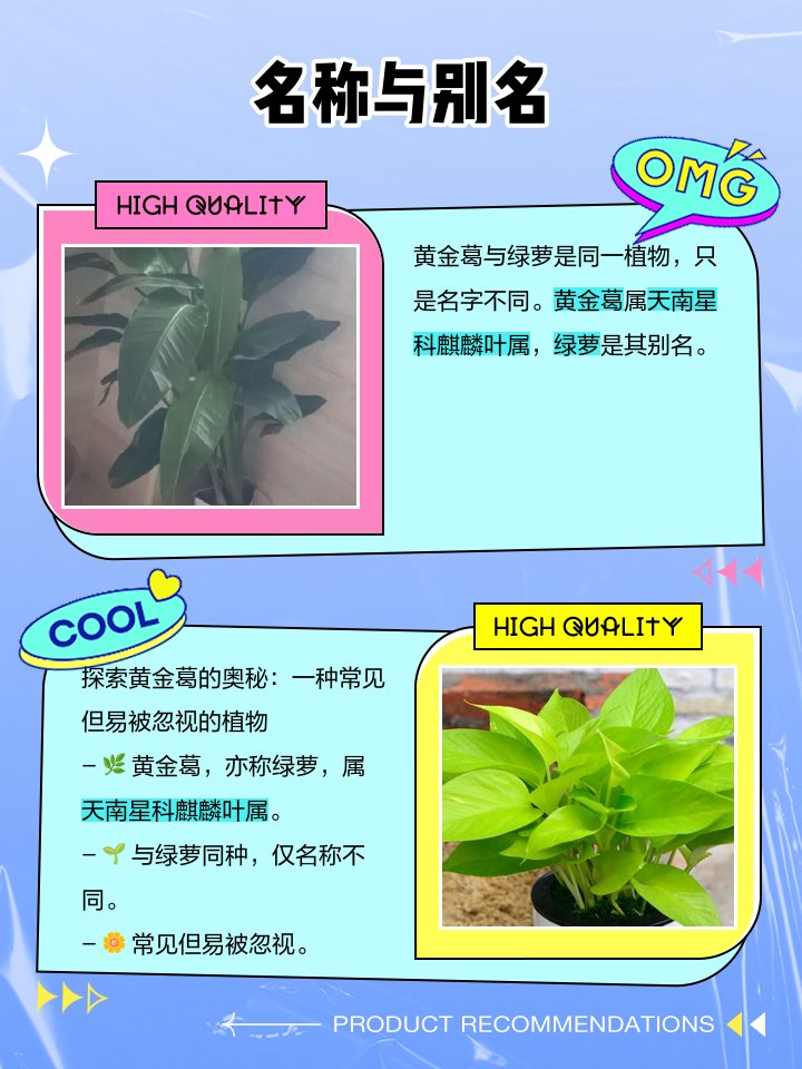 _valecaicedo_'s tweet photo. Keep your pothos thriving! Water when top 2 inches of soil feel dry, place in bright indirect light �� no overwatering, no harsh sun, just green joy. https://t.co/N4fNKeMYB1