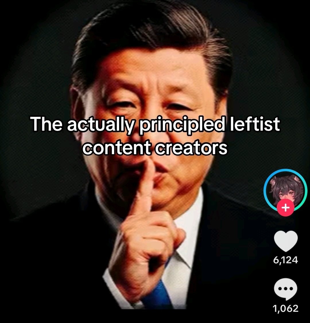 BitterMarxist's tweet photo. Perhaps tiktok should have remained banned in the US https://t.co/4rMScAJFTI