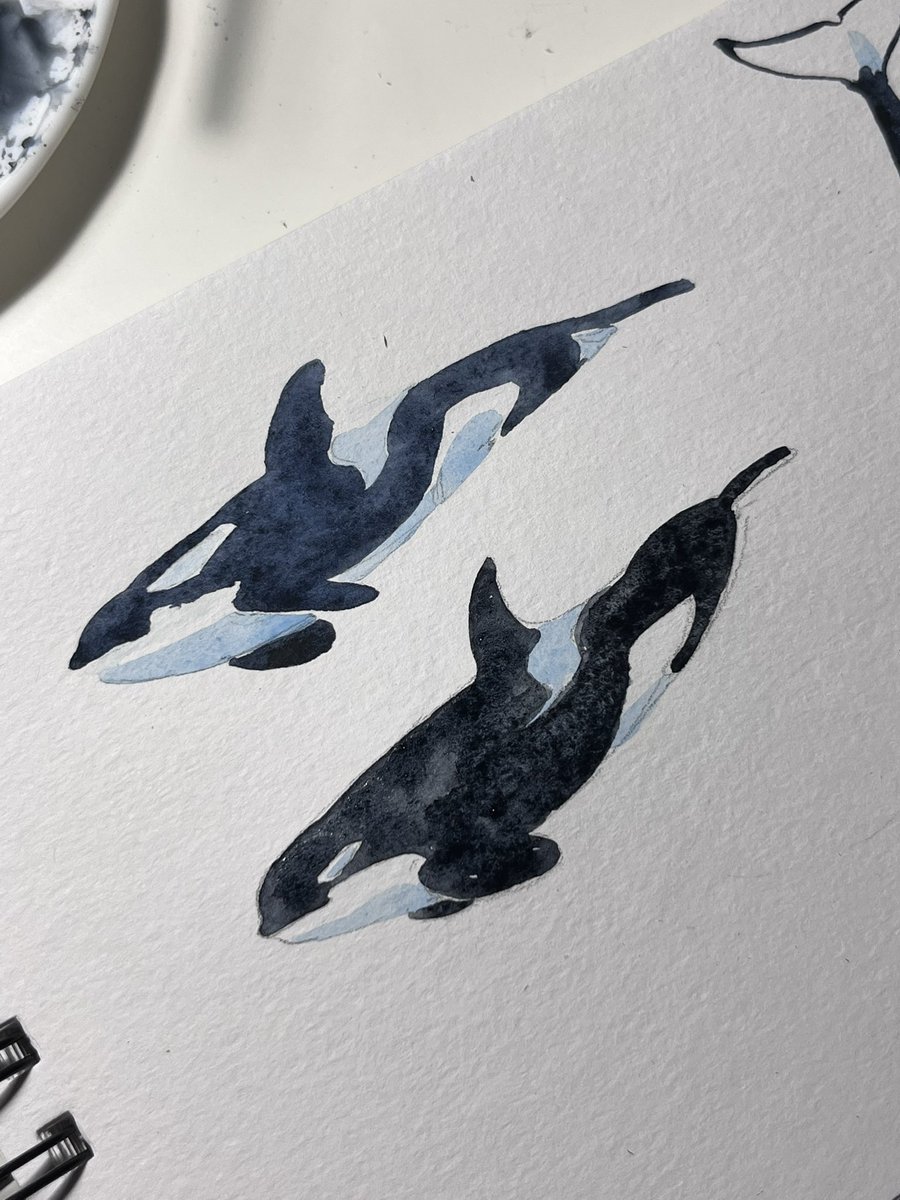 orca_dance's tweet photo. my merch process! https://t.co/DxFfidyxzv