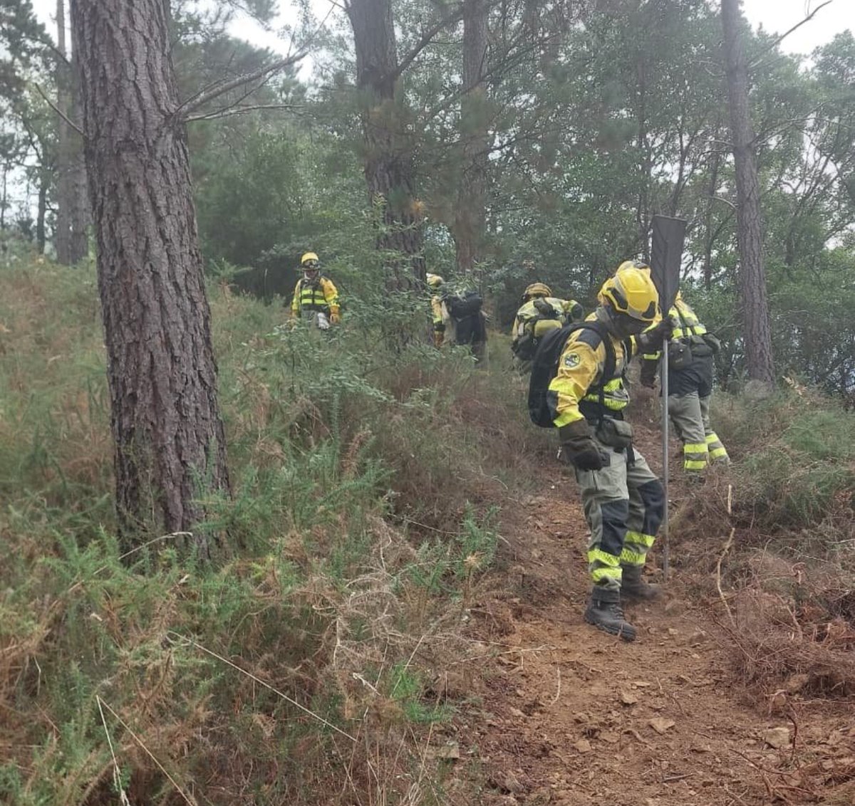 gorka581's tweet photo. @jcyl @elifbravo1mdp @mitecogob Si hay medio civil resolutivo en incendios son las @AT_Brif 

En  #IFLlanteno se han activado:

-@BRIFpradotwit desde Cuenca (539 km), solo UN helicóptero operativo‼️
-@briftabuyo desde León (391 km), por tierra
‐@BRIF_Ruente , Cantabria (150 km), por tierra. SIN helicópteros⁉️ https://t.co/7SL4DEWgJv