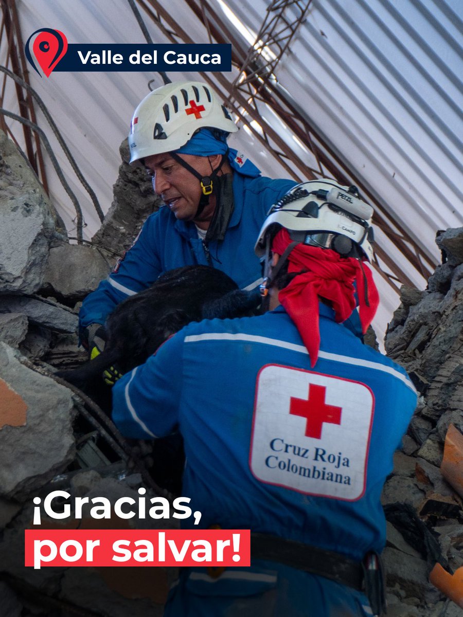 IFRC_es's tweet photo. ¡Gracias, @cruzrojacol, por estar ahí cuando más se necesita! ❤️  

Tras el terremoto en Colombia, el voluntariado y personal de la Cruz Roja Colombiana han desplegado sus equipos para apoyar a las personas afectadas. 

#Terremoto #Colombia #CruzRoja https://t.co/n6Uw5rWBTH