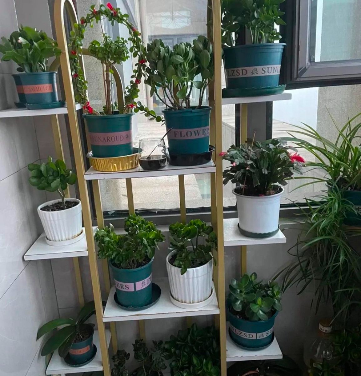 allusuboddh2's tweet photo. [Turn an old mason jar into a chic herb planter—no fancy tools needed!  Upcycling made easy u0026 cute for small spaces]， https://t.co/ziwBishUY8