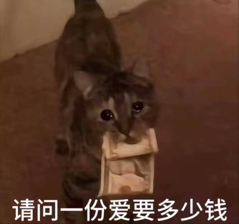 qstanm's tweet photo. https://t.co/PQ6wDqDSZc