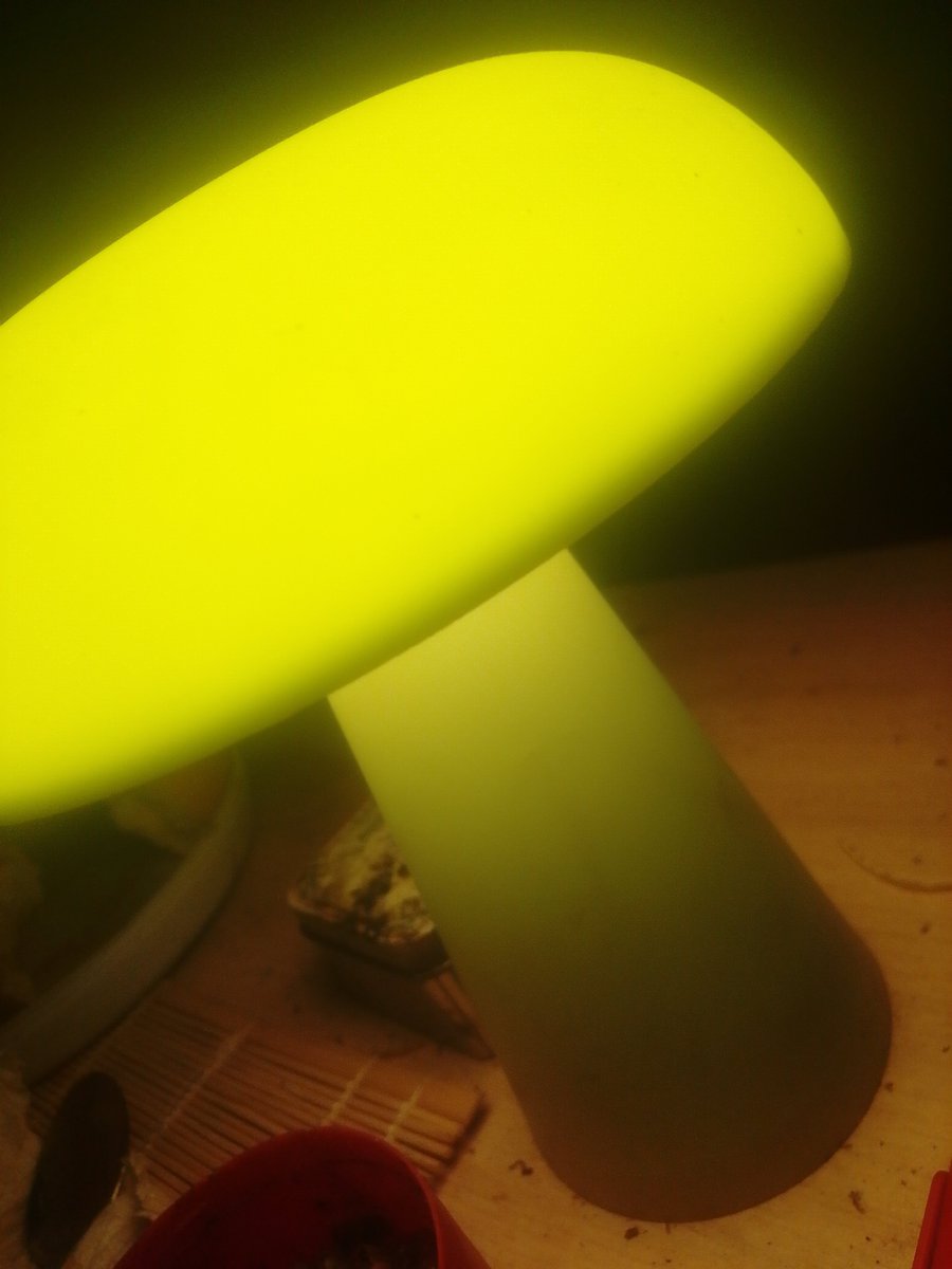 Steuerman1's tweet photo. Dann mal eine angenehme Nacht gewünscht!
#Wildlive #Garten #Natur https://t.co/vzFEig7c8z