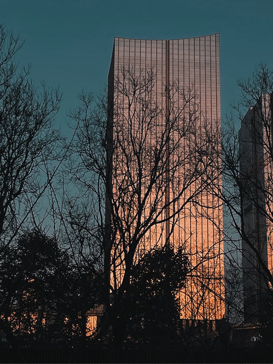 ikhun10's tweet photo. [Chasing the city’s golden hour glow—random street snap that feels like a little piece of magic tucked between concrete walls ]， https://t.co/SNjIPMtjPT