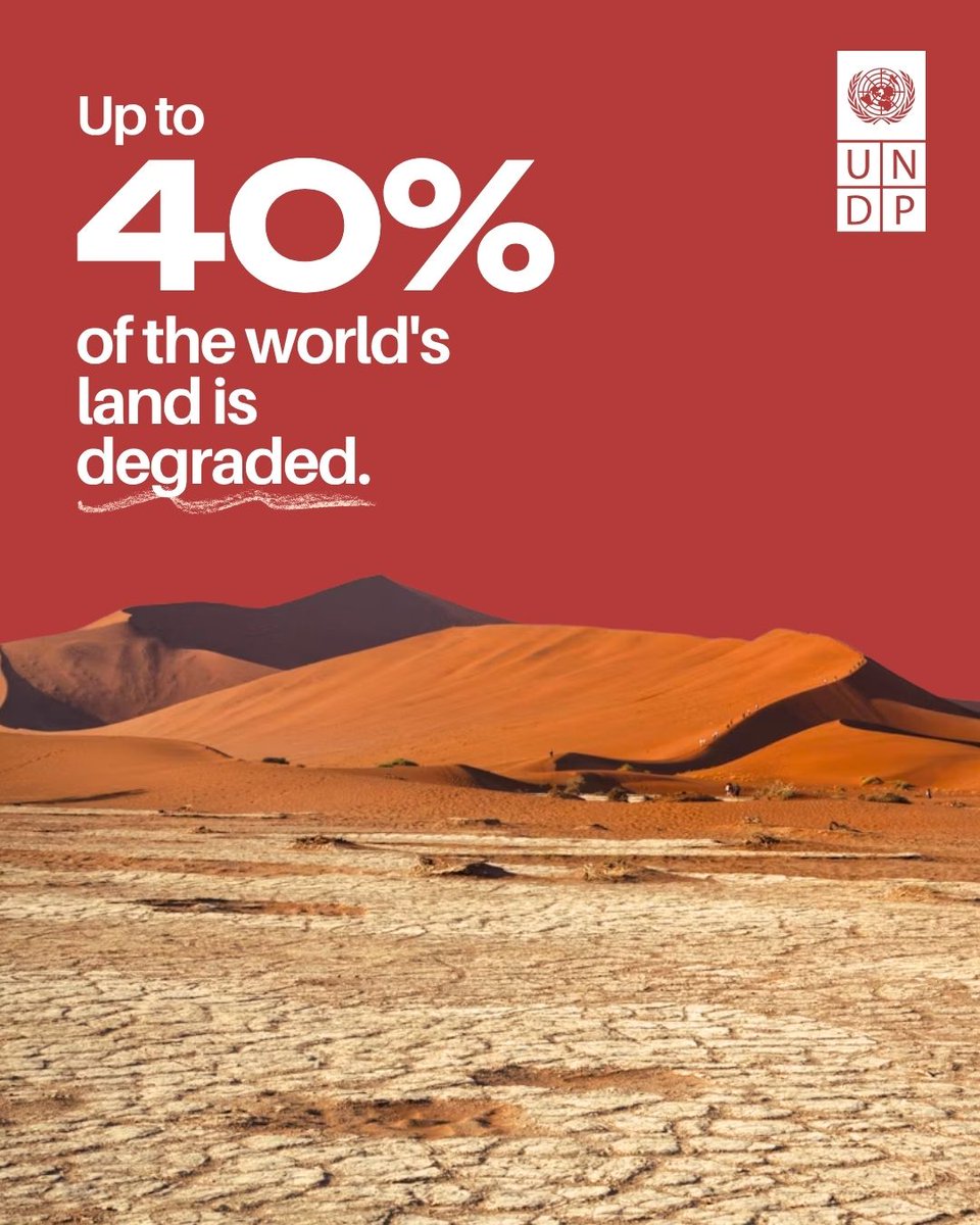 UNDP's tweet photo. Increasingly, land degradation, nature loss and climate chaos are driving economic instability, inequality and conflict. 

But addressing them in synergy can deliver jobs, health, safety and security. https://t.co/cWCppx9xJe

#COP17Mongolia https://t.co/ixNw7tTSqK