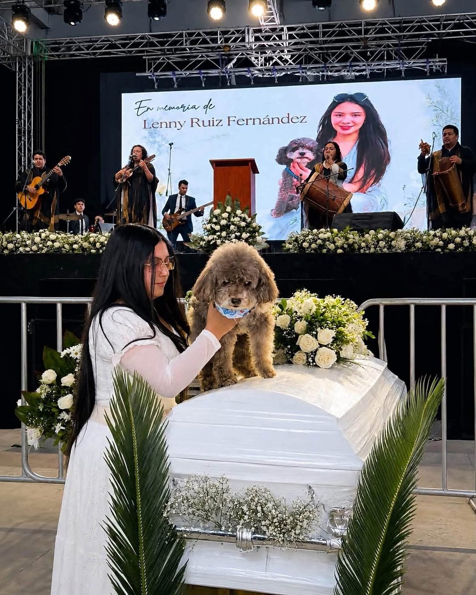 paultutiven's tweet photo. ¡FIEL HASTA LA MUERTE!
Lanny Fernández fue hallada entre los escombros del terremoto de Colombia del 10 de agosto abrazando a su perro Salomón, protegiéndolo hasta el final, para que su mascota no muera. 
Durante su ceremonia fúnebre, Salomón estuvo junto a la familia en uno de los momentos más emotivos del homenaje para despedir a su dueña.
UN AMOR QUE TRASCIENDE BARRERAS.