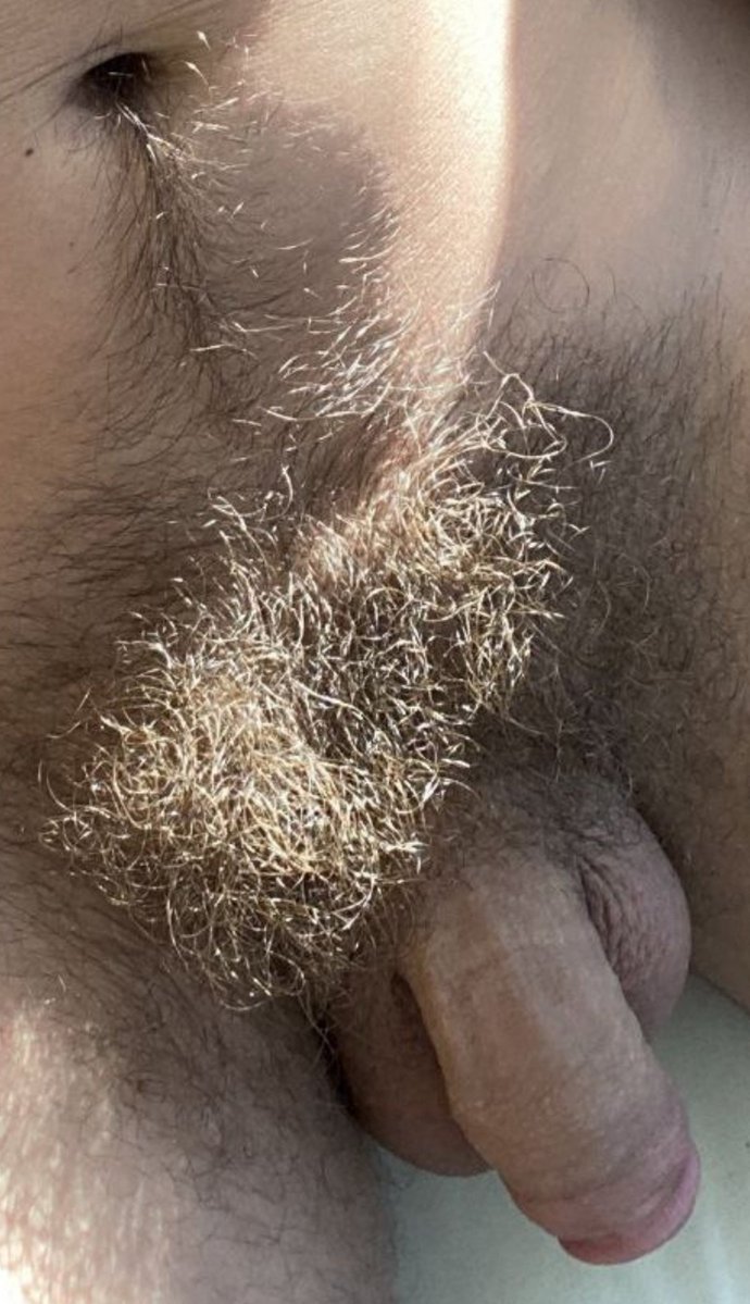 MalePubic_Hair's tweet photo. https://t.co/l7ejSgUmO0