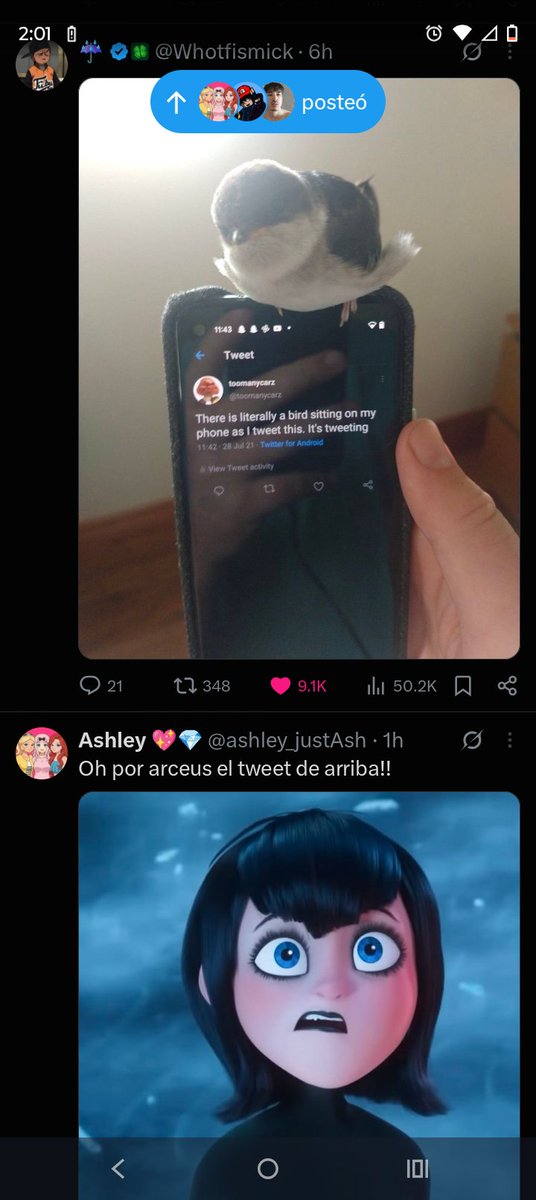 dafig367's tweet photo. @ashley_justAsh Que coincidencia lol 😭 https://t.co/pav6C6Xv4j