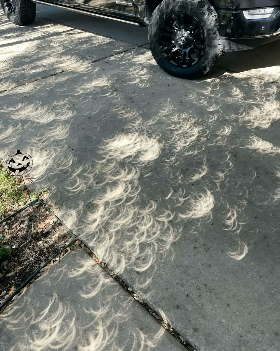 purelivn's tweet photo. the shadows during an eclipse https://t.co/vrsENNqqMG
