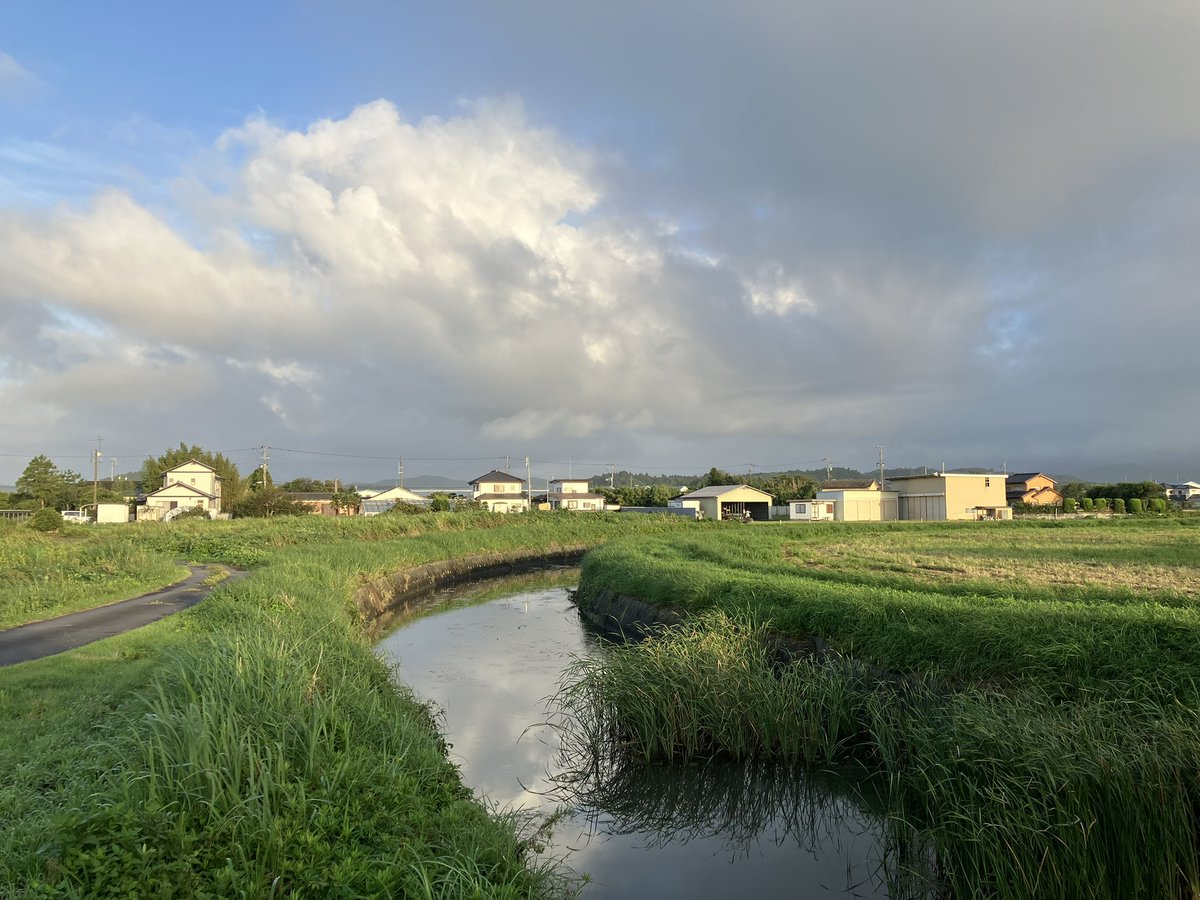 IkuoOkada's tweet photo. 朝散歩なうです♪
晴れて気持ちいいですね(=^x^=) https://t.co/Wb0fAdUUe2