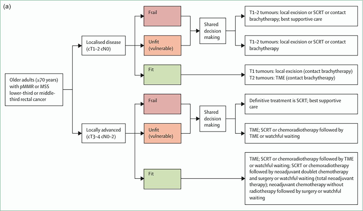 JGeriOnc's tweet photo. Management of older adults with colorectal cancer – The state-of-the-art in 2026 https://t.co/64Shn3h5Eg @WilliamDale_MD @myCARG #GeriOnc #OlderAdults #OncoAlert #SIOG #YoungSIOG #Elsevier #PalliativeCare #Chemotherapy https://t.co/bUXYqO6B9d