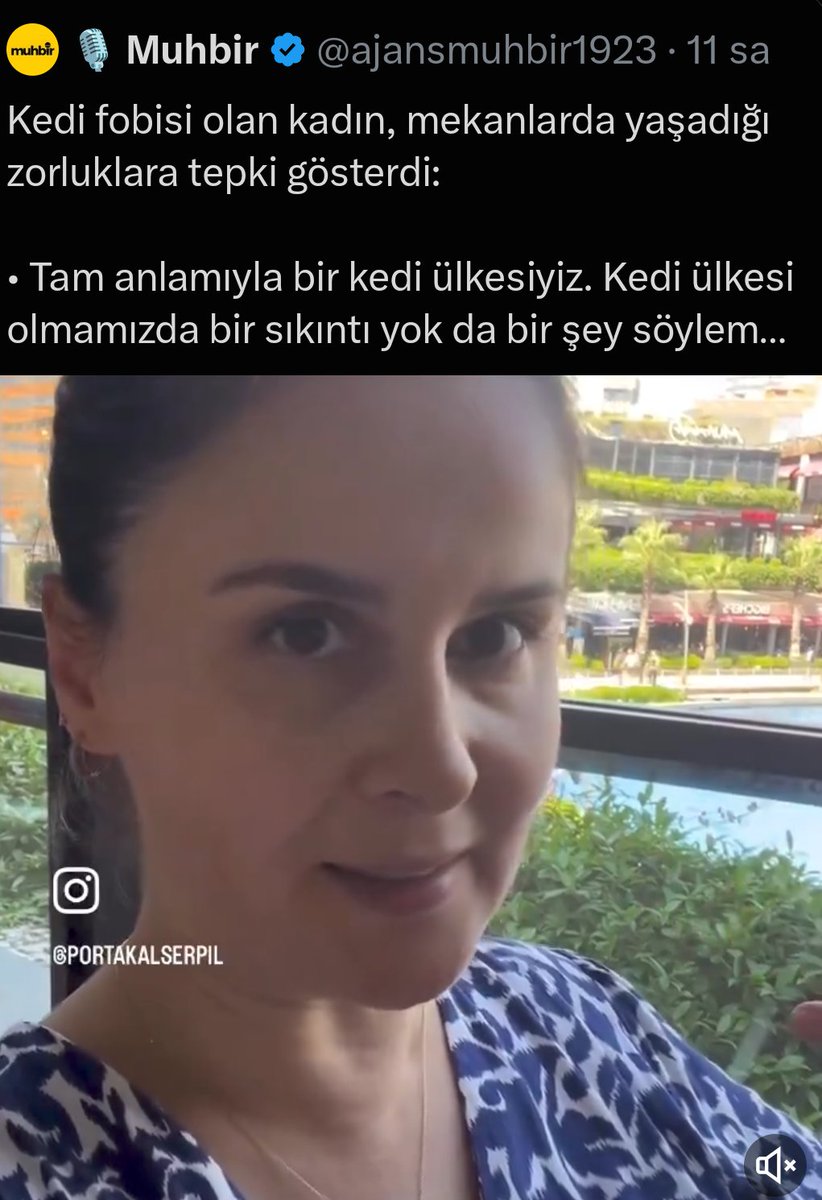 ozgunemrek's tweet photo. Ne büyük tesadüf ya kedilerle ilgili eş zamanlı böyle haberlerin sosyal medyada paylaşılması. Hay Allah! Bak sen şu işe! https://t.co/ykUKV7fFmq
