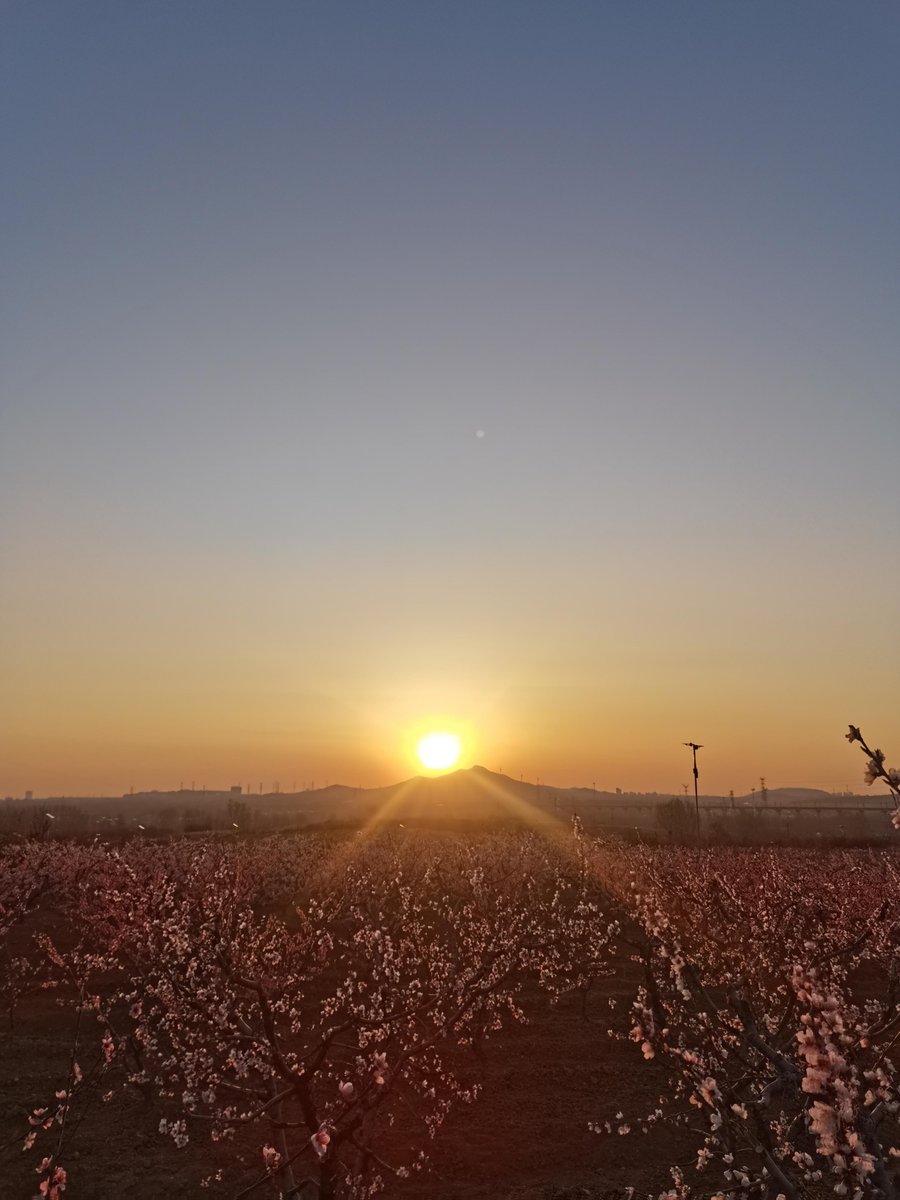 FDonald11's tweet photo. New to photography Start with mastering natural light—shoot golden hour 1hr after sunrise/before sunset for warm, soft tones, no fancy gear needed! https://t.co/MMsntg9IfR