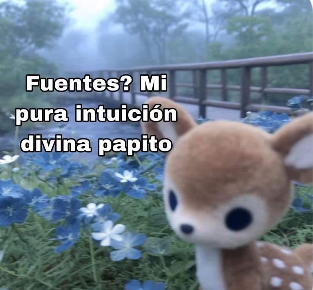 Animalesaprieto's tweet photo. https://t.co/f5Rsx96rT4
