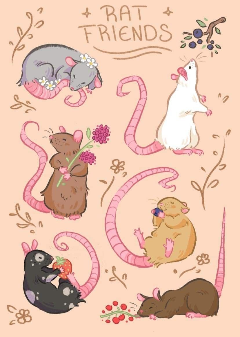 MahaliaStrzc's tweet photo. You can admire someone’s body, but the deepest kind of love is when you still choose them even if the physical side was taken away… because your connection was never built on what they look like, but on who they are ❤️ https://t.co/s5aD4Fmxsr