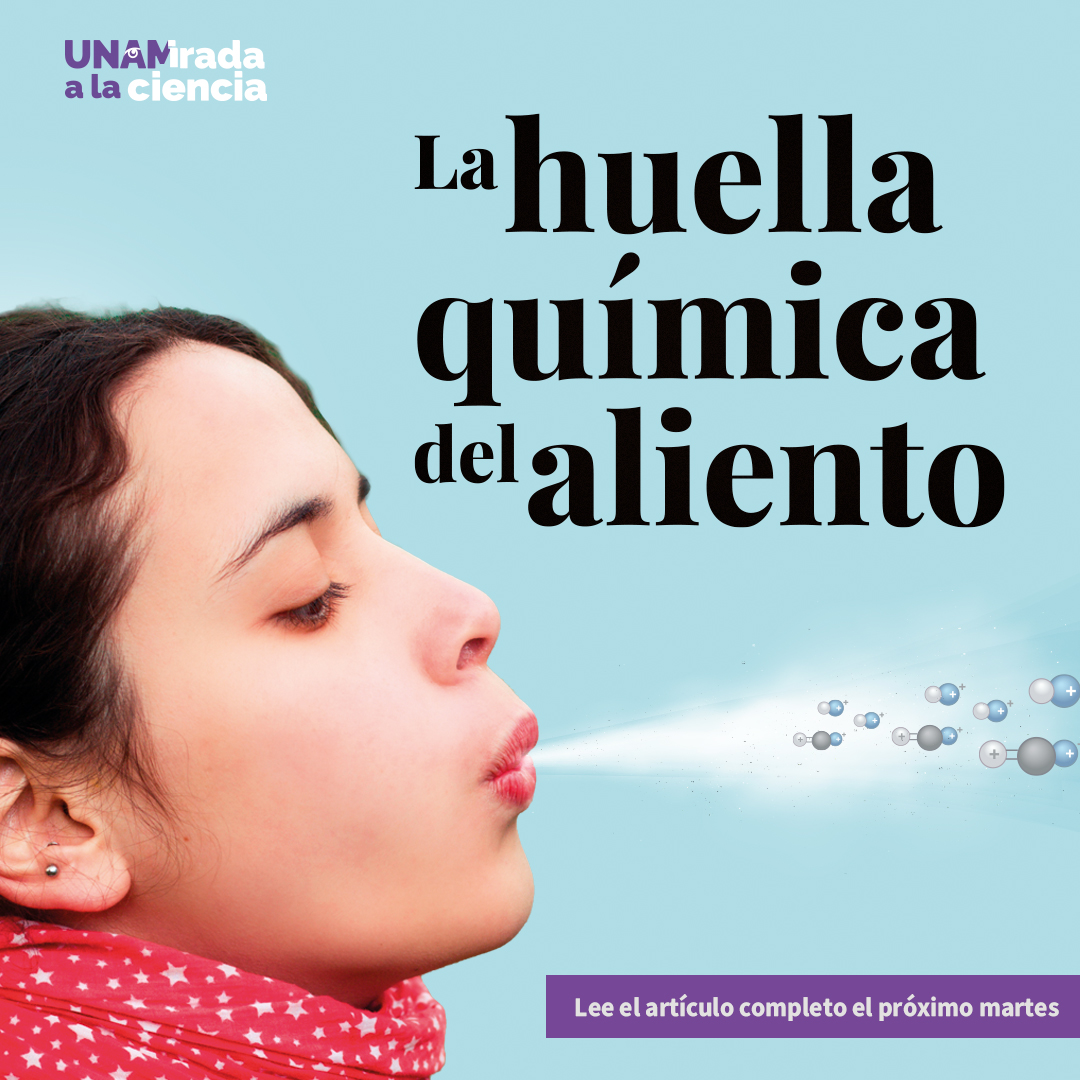 Ciencia_UNAM's tweet photo. Mañana en nuestro artículo de #UNAMirada a la Ciencia en el periódico La Prensa te contaremos de un estudio entre Instituto de Ciencias de la Atmósfera y Cambio Climático de la UNAM y el INER,  en el que usan una herramienta que revela el estado fisiológico de la personas. https://t.co/lIJV3bNsQZ