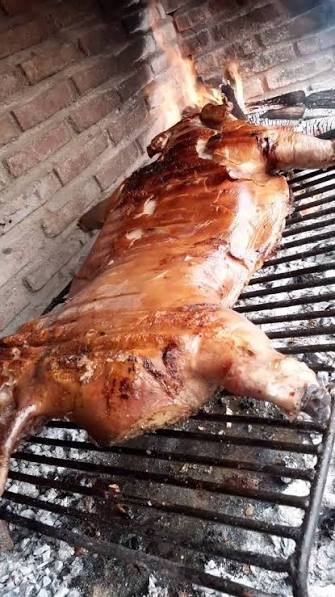 dramateont's tweet photo. Tengo al caniche de mi marido en casa que cada tanto le agarran como unos ataques y se queda duro duro, ESTA ES LA PRIMERA VEZ QUE LE PASA ESTANDO SOLO CONMIGO y cuando no lo sentí hacer ruido lo miré y estaba ASÍ https://t.co/ie3px8GzVw