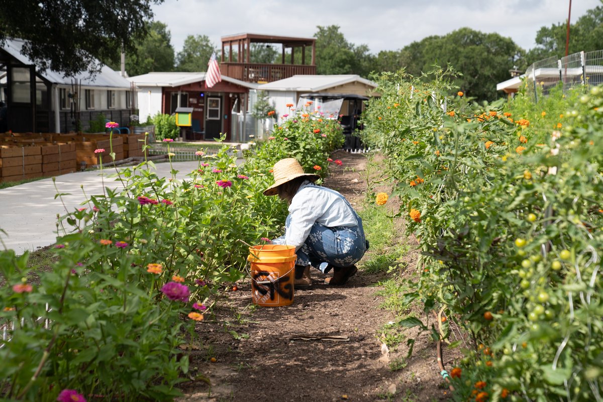mobileloaves's tweet photo. We're hiring! Come be a part of the Goodness happening at Mobile Loaves &amp; Fishes.

Current job opportunities include: Assistant Property Manager, Program Lead for Genesis Gardens and many more!

Learn more about our many open positions and apply at https://t.co/q0wkiQRjhz. https://t.co/Ech2hyp7lh