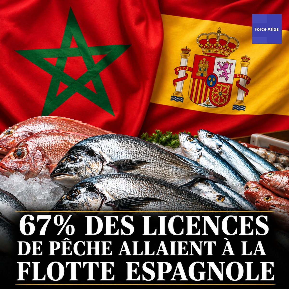 Marokkinhom4's tweet photo. 🚨🇲🇦 L’UE attend, Rabat ne se précipite pas.
Le Maroc ne veut plus brader ses ressources halieutiques contre une simple compensation. Priorité désormais à la flotte nationale, la transformation locale, l’emploi et la souveraineté maritime.
Le message est clair : nos ressources, nos intérêts, nos conditions. 🇲🇦