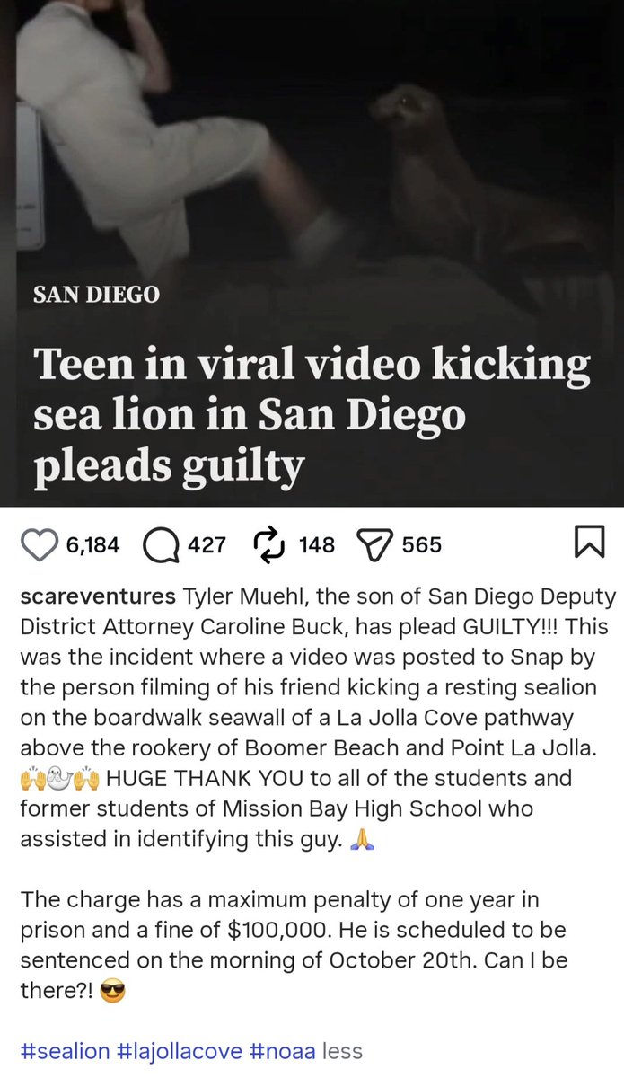 MilenaAmit's tweet photo. @CBSNews This punk Tyler Muehl is the spawn of the local district attorney??? Disgusting. https://t.co/EorzR0VzNa