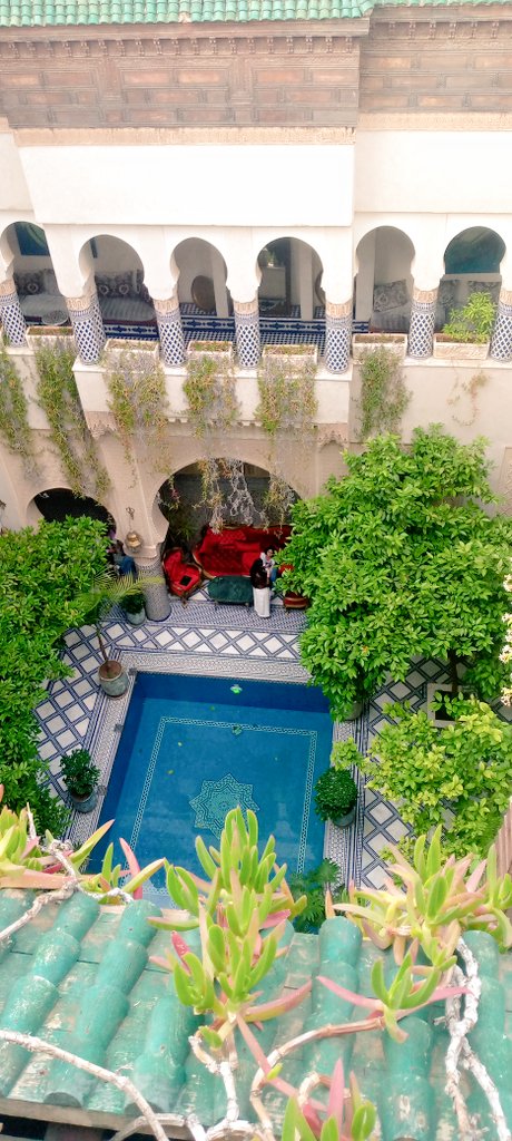 KHAOULABOU37379 tweet picture