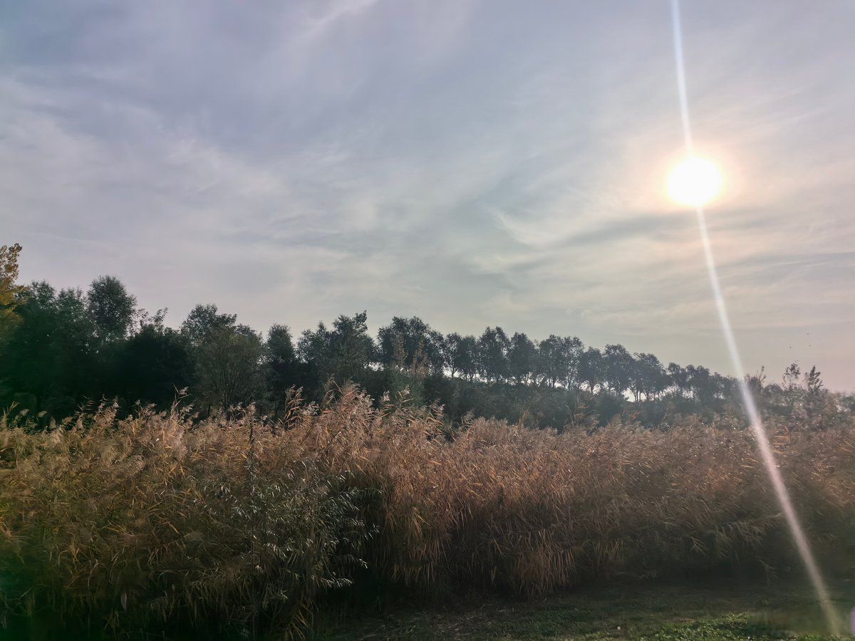 Grexielle1's tweet photo. Just finished a 2hr morning hike on the city's new riverside trail! Fresh air and cool breeze made this weekday perfect. https://t.co/YsXSz700AX