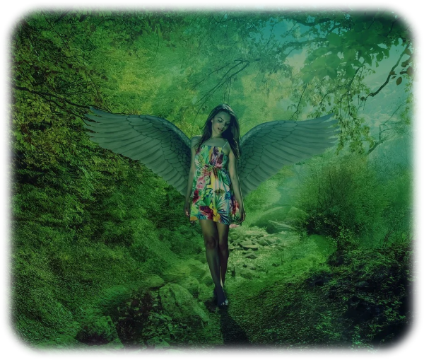 ZarasAngels's tweet photo. There are misconceptions about who Incarnated Angels are and what role they play in the life of humans...I work with Incarnated Angels, and this is what they have shared with me...
https://t.co/7Ar8wrb5pF https://t.co/8uG9QQ0HKZ
