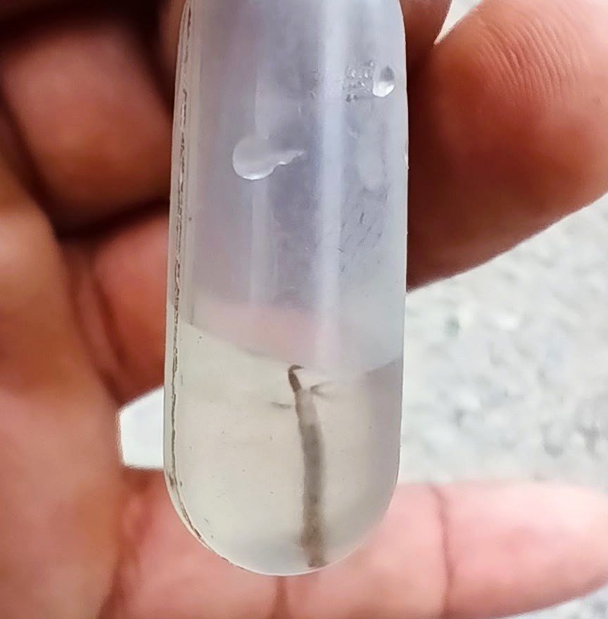 Salud_Guayas's tweet photo. #Milagro | En el sector #LaLolita, equipo de #ControlVectorial de @Salud_ec realiza intervención con el objetivo de destruir criaderos de mosquitos y así evitar que la comunidad se enferme de #Dengue, zika y chikungunya.
#MSPEnTerritorio https://t.co/eVTngW0eMM