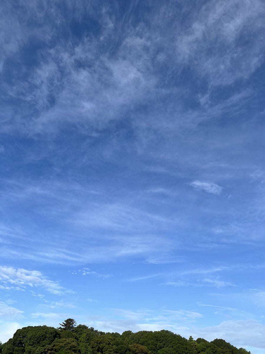 xpy6a tweet picture