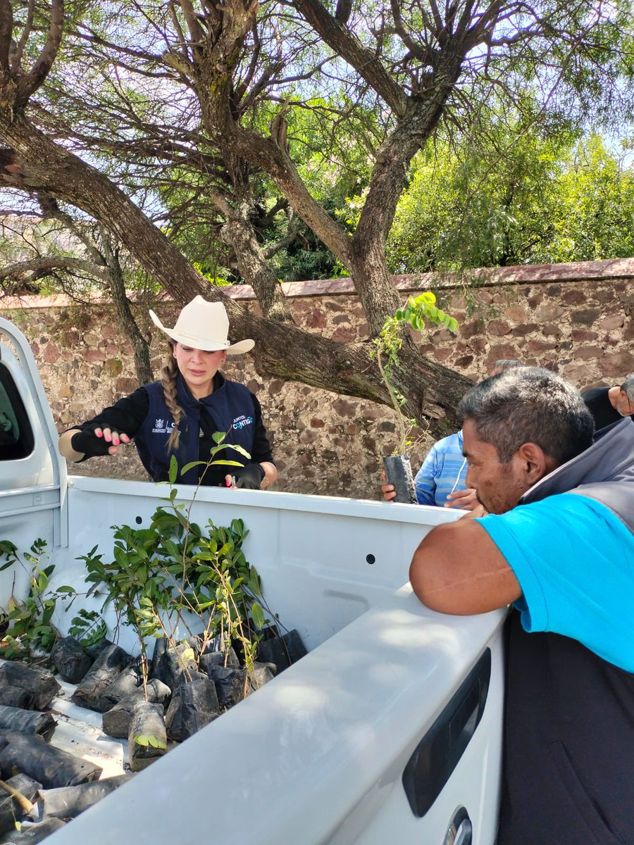 SedeaQro's tweet photo. Acompañamos a  SEDESOQ en las entregas de programas en Santa Bárbara D, Pedro Escobedo, sumándonos con la donación de árboles para reforestar nuestra tierra.
Junto al gobernador @makugo, seguimos llevando apoyos y construyendo un Querétaro más verde. 🤝🌱 https://t.co/iyqOHv6ESq