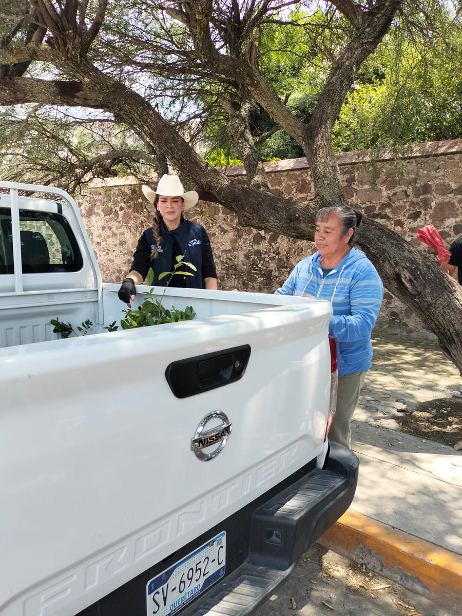 SedeaQro's tweet photo. Acompañamos a  SEDESOQ en las entregas de programas en Santa Bárbara D, Pedro Escobedo, sumándonos con la donación de árboles para reforestar nuestra tierra.
Junto al gobernador @makugo, seguimos llevando apoyos y construyendo un Querétaro más verde. 🤝🌱 https://t.co/iyqOHv6ESq