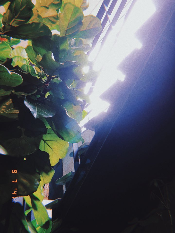 giversevlog's tweet photo. ㅤ
⠀ ⠀ ⠀ㅤ
⠀ ⠀ ⠀ᅠᅠᅠ     (ɢ)𝐢-𝕧er𝘴e 𑊡𑊁 ƒ𝕚𝖑es
ᅠᅠᅠᅠᅠᅠ           𝐢𝕟s𝖙a up𝐝ateㅤ
⠀ ⠀ ⠀ㅤ
⠀ ⠀ ⠀ https://t.co/AHMyH8O5FO