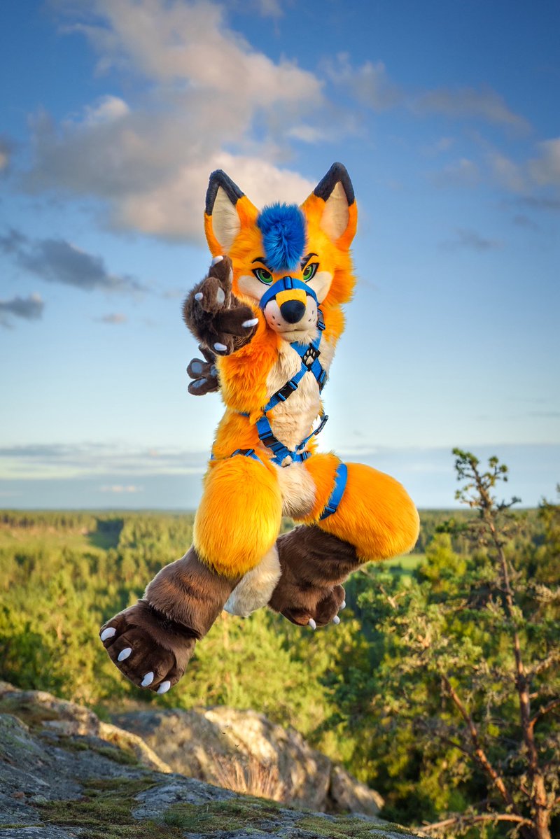 electrixfox tweet picture
