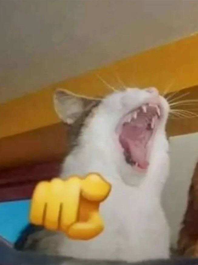 Karmeleon03's tweet photo. @Willynfkc @GreenHeroRises Este man se piensa que un personaje ficticio de un manga tiene libre albedrío y que existe fuera de los paneles xdcdxd https://t.co/BjymD0DrvZ