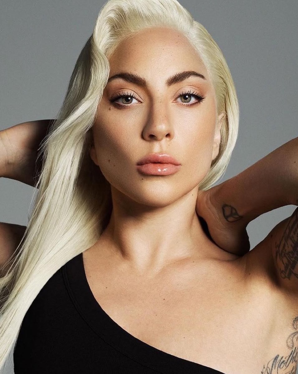 poponze's tweet photo. Lady Gaga incluiu ingrediente brasileiro em seu novo produto da Haus Labs. 

O The Edge Lip Shaping Pencil, lápis para contorno dos lábios, tem cera de carnaúba, matéria extraída de uma palmeira típida da região Nordeste. https://t.co/aLTrA7viwR