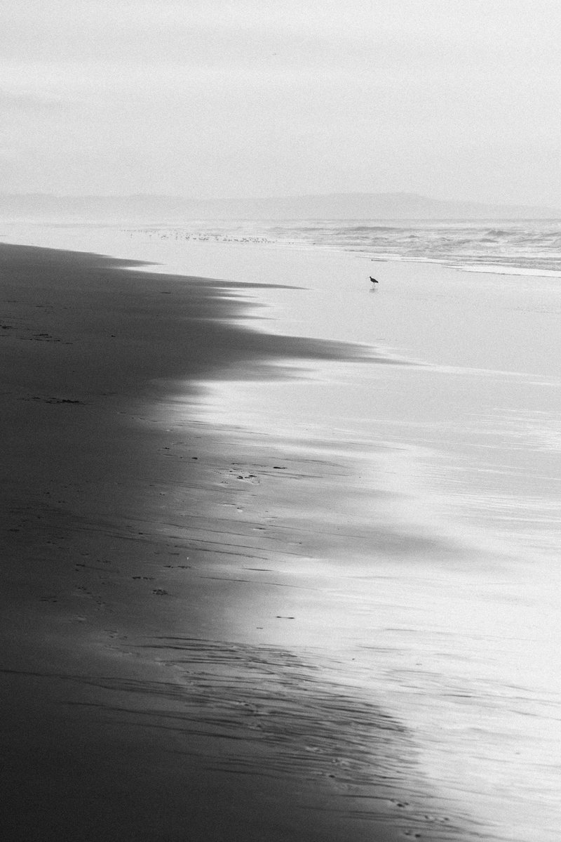 jeffmihaly's tweet photo. Daily Dose of Monochrome https://t.co/PXYkTzZtp6