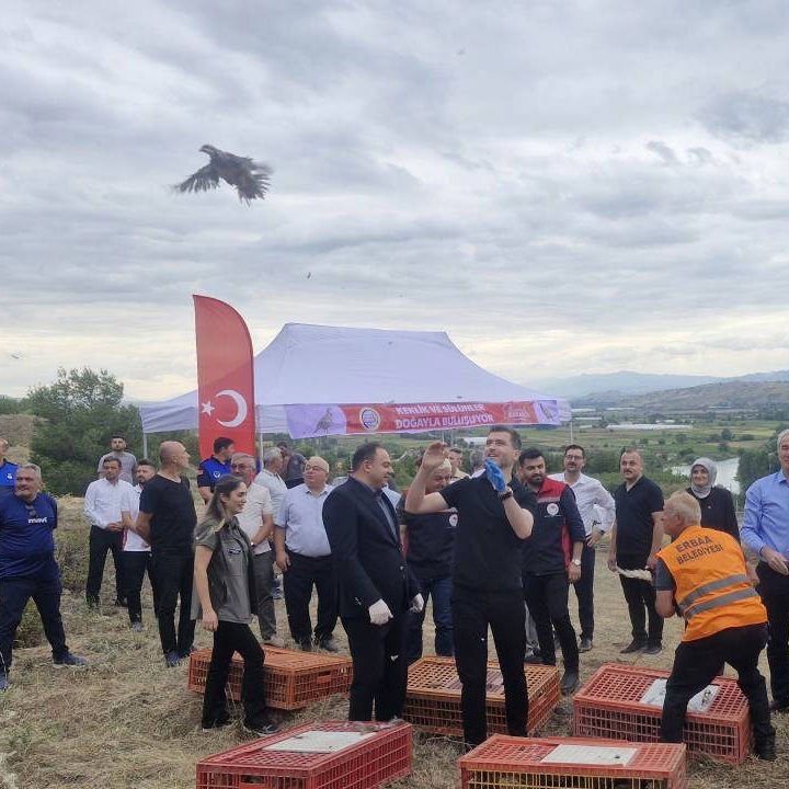 pusholder's tweet photo. Tokat'ta kene vakalarına karşı 1.500 keklik ve sülün doğaya bırakıldı. https://t.co/Xb2uI36ylr