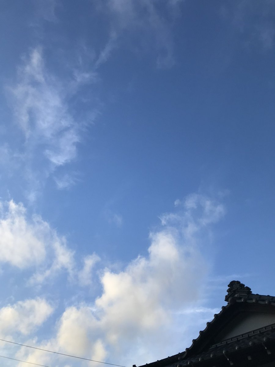 Br9Pj's tweet photo. 今日息子は
またまた都会へ帰る
またまた私と旦那様の
静な時間がやって来る https://t.co/NMjsOxScZE