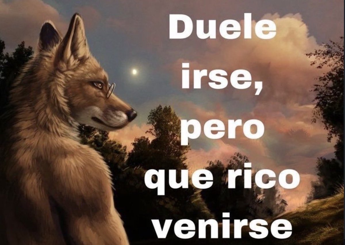 skereunpesado's tweet photo. https://t.co/e04qtk27Y1