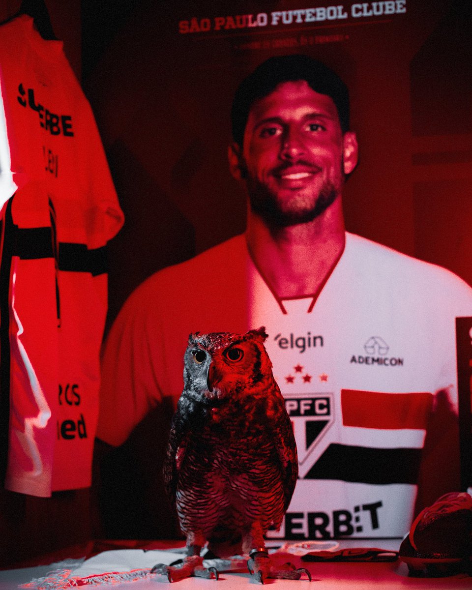 SaoPauloFC's tweet photo. 𝐂𝐚𝐥𝐥𝐞𝐫𝐢 🤝 𝐎𝐰𝐥𝐛𝐚𝐦𝐚 🦉 

#TocaNoCalleri 🇦🇷 
#VamosSãoPaulo 🇾🇪

📸 Rubens Chiri / São Paulo FC https://t.co/ldRhsd5BGP