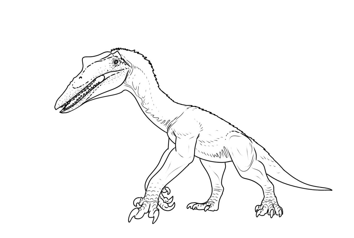 MrFragilis's tweet photo. I saw this and didn't hesitate to start drawing. The idea of a flightless pterosaur being reconstructed as a mega-theropod sounds super interesting to me! I might explore this idea further in the future. https://t.co/ps4h0zz4Is