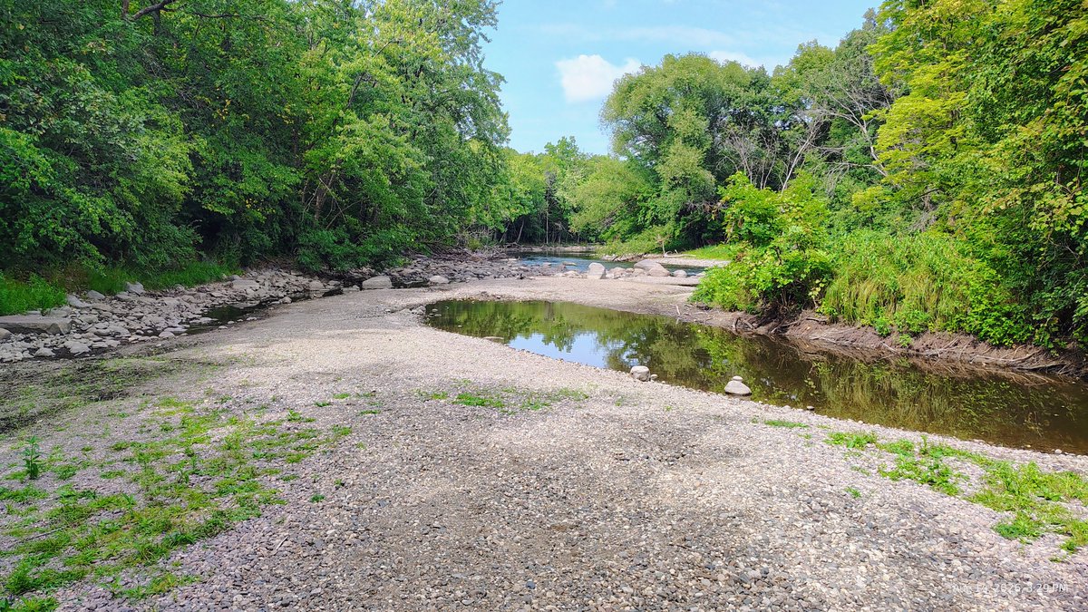 grantpatterson2's tweet photo. #naturewalk 2 1/2 miles in https://t.co/qBVIzoTjjG