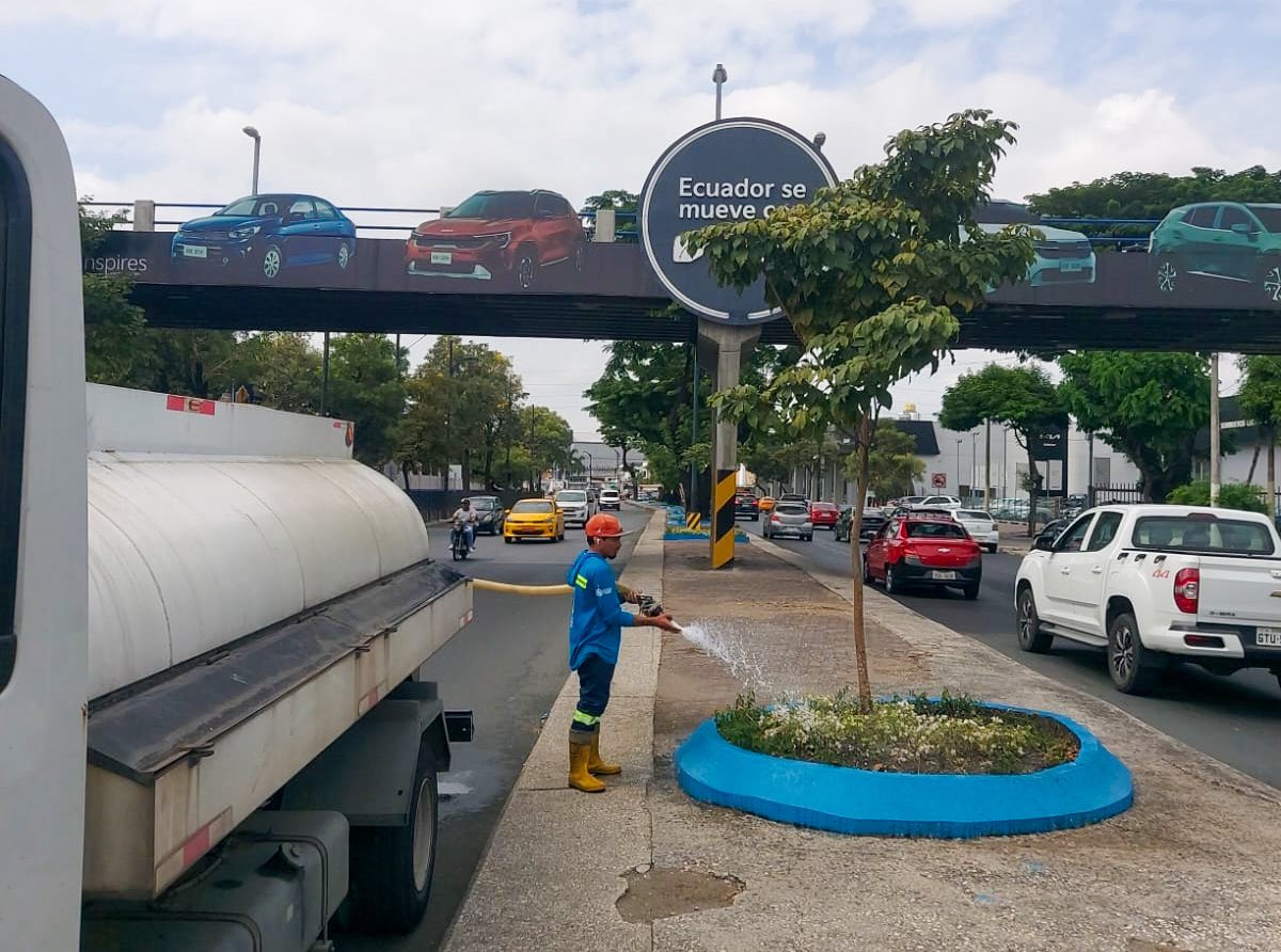 parquesgye's tweet photo. En Sauces 4, Urdenor y Puerto Hondo realizamos trabajos de mantenimiento para atender y conservar nuestros espacios públicos:

Poda y desbroce
Riego
Limpieza y desalojo
Mantenimiento civil

Continuamos interviniendo diferentes sectores para mantener áreas más limpias, despejadas y en mejores condiciones para la ciudadanía.

#AsiSeHaceGuayaquil #AquiEstamos #GuayaquilNoSeDetiene #CiudadDeTodos
@alcaldiagye @taticoronelf