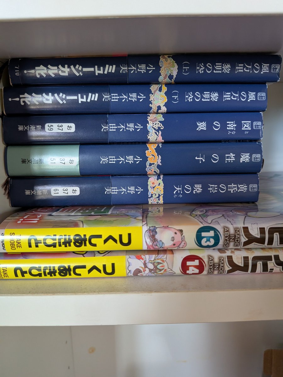 yonsyabe's tweet photo. 家族が十二国記を読んでくれてる！
東の海神〜まで来たから、この先の読む順番を勝手に考えてる。

魔性の子と黄昏と、どっちが先がいいかな〜
悩む… https://t.co/tABRk7HpD9