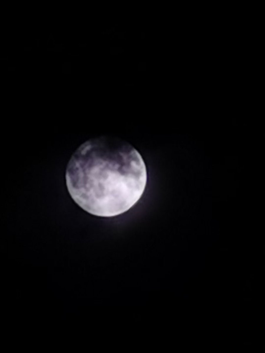 ddccong2's tweet photo. 今天加班到深夜，出公司门时撞见了半轮月亮挂在楼边，风裹着桂花味吹过来，突然就觉得累也没那么扎人了。 https://t.co/7zyAvSDORo