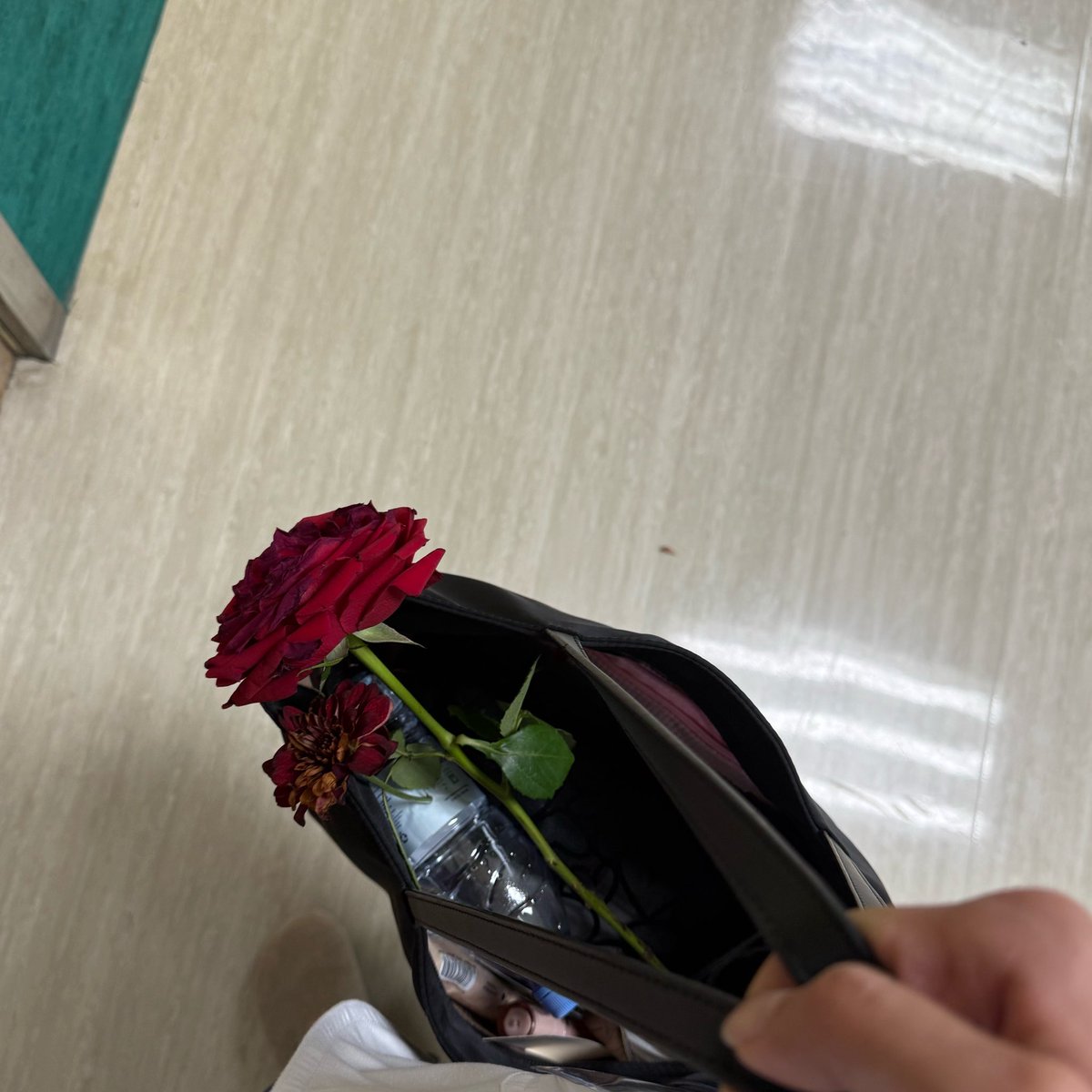 Aljooreism's tweet photo. ✨ April - Pediatric (2) at KFMC 👶🏻

One of the most amazing experiences I had during my internship year, one I’ll always carry with me🧸 

The little ones taught me more than I ever expected ❤️‍🩹❤️‍🩹 https://t.co/RRTxFBxK4f