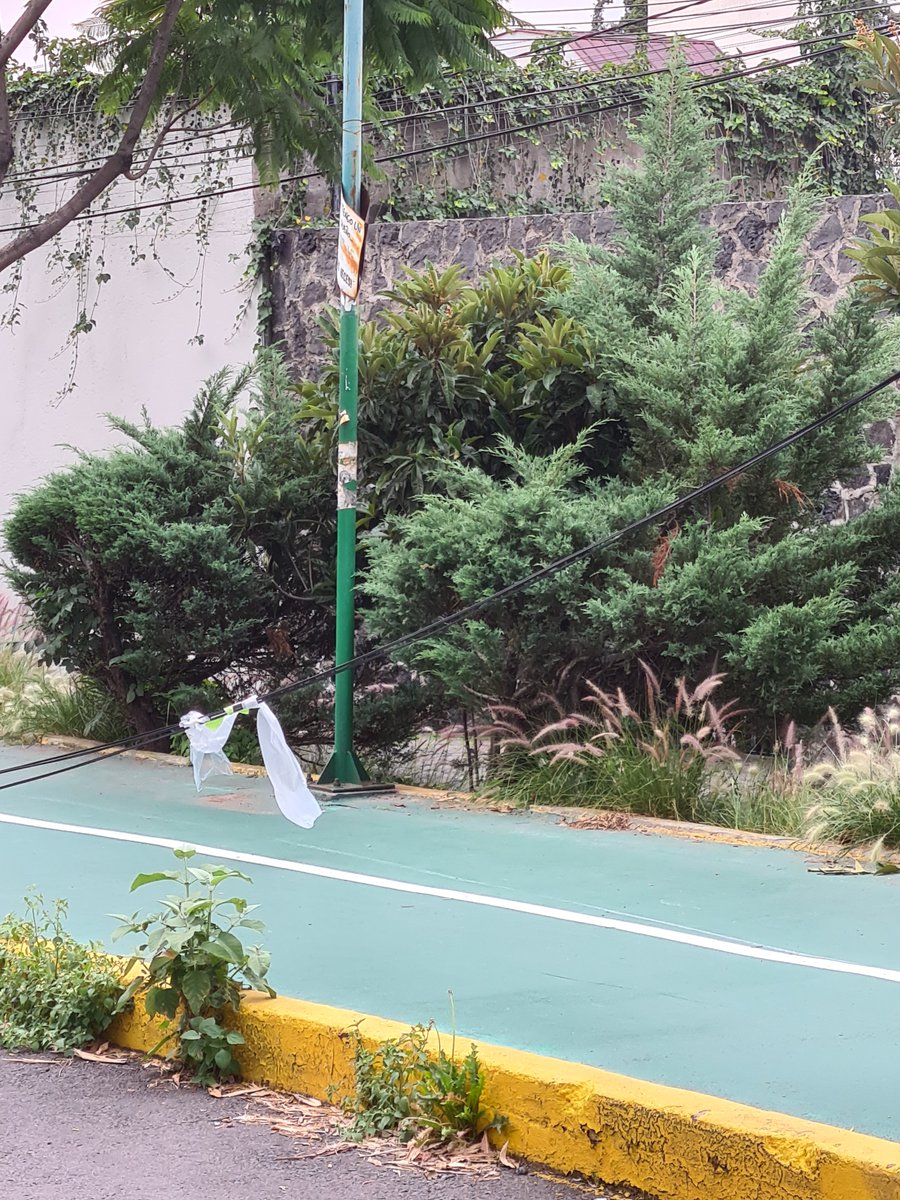 caohersa's tweet photo. Buenas tardes, hay unos cables tirados en la calle de Ferrocarril de Cuernavaca entre Presa y Héroes de Padierna, los cuales son un riesgo para transeúntes y automóviles. 
@CesacContreras https://t.co/2rPQi7DjTx