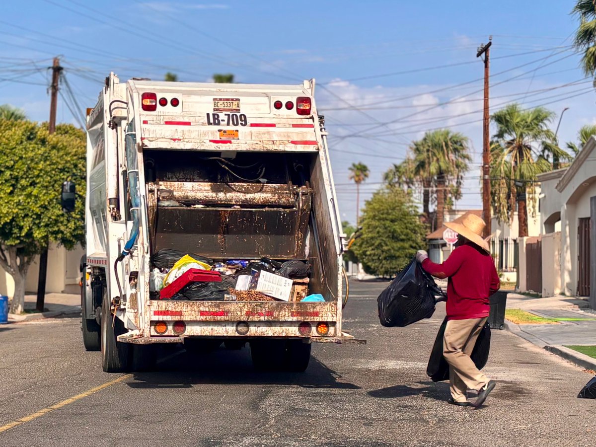 GobiernoMxl's tweet photo. ¡#MexicaliBrilla todos los días! 🚛🗑️
Continuamos con la recolección de basura en rutas y horarios establecidos para mantener limpia la ciudad. ✨
#UniendoEsfuerzos
#GobiernoDeMexicali https://t.co/BpsRafgteq