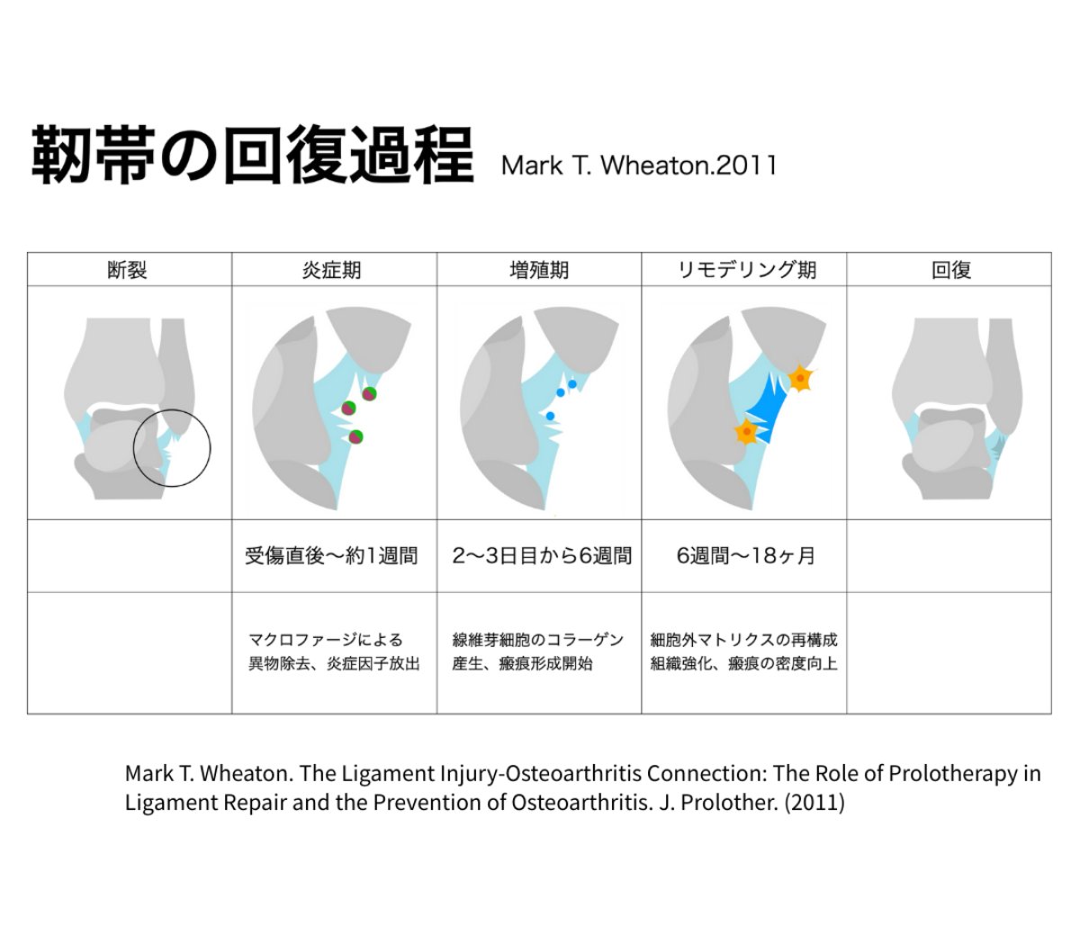 pttiger0228 tweet picture